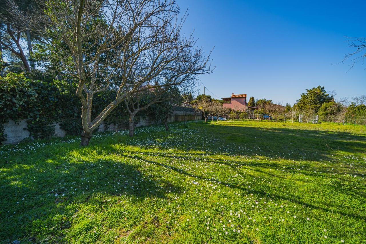 Casa Alex A Schiopparello - Goelba Appartement *